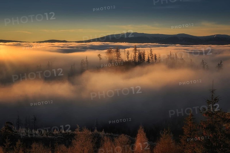 Fog in the foothills of the High Tatras at sunrise near Strbske pleso in Slovakia