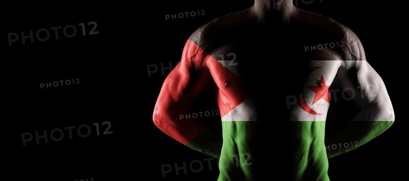 Sahrawi Arab Democratic Republic flag on muscled male torso with abs, black background