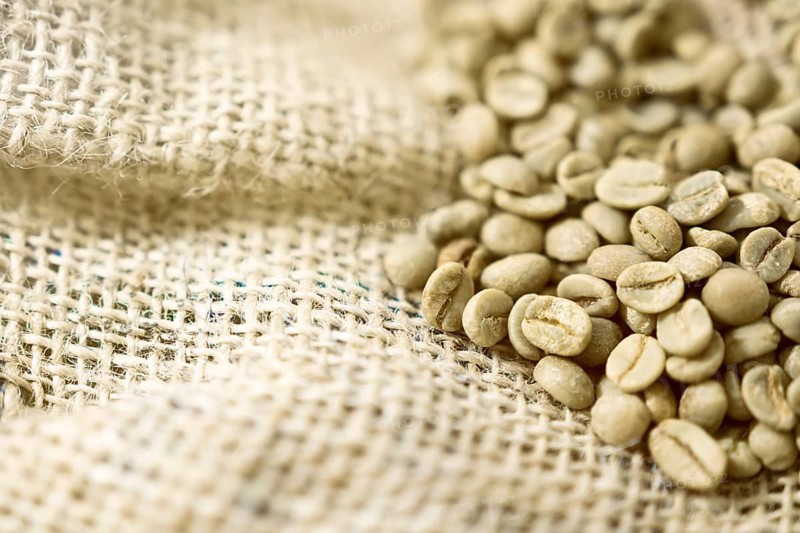Green unroasted Coffee Beans in a sack