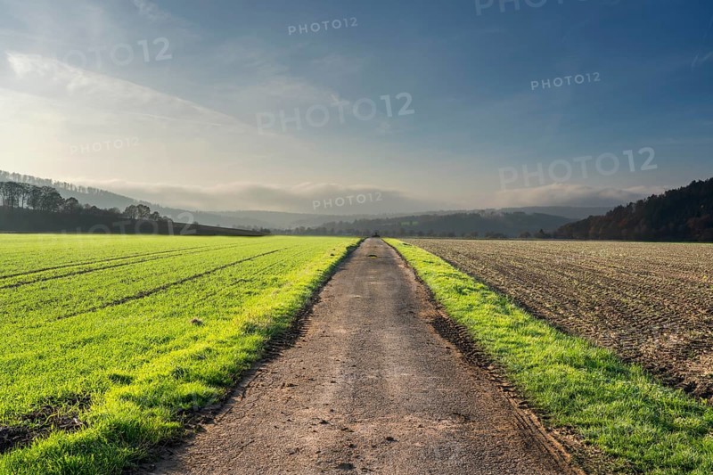 Path, straight ahead, Oberweser, Germany, German