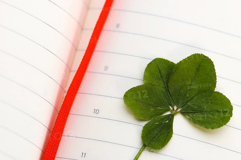 Four Leaf Clover and New Day