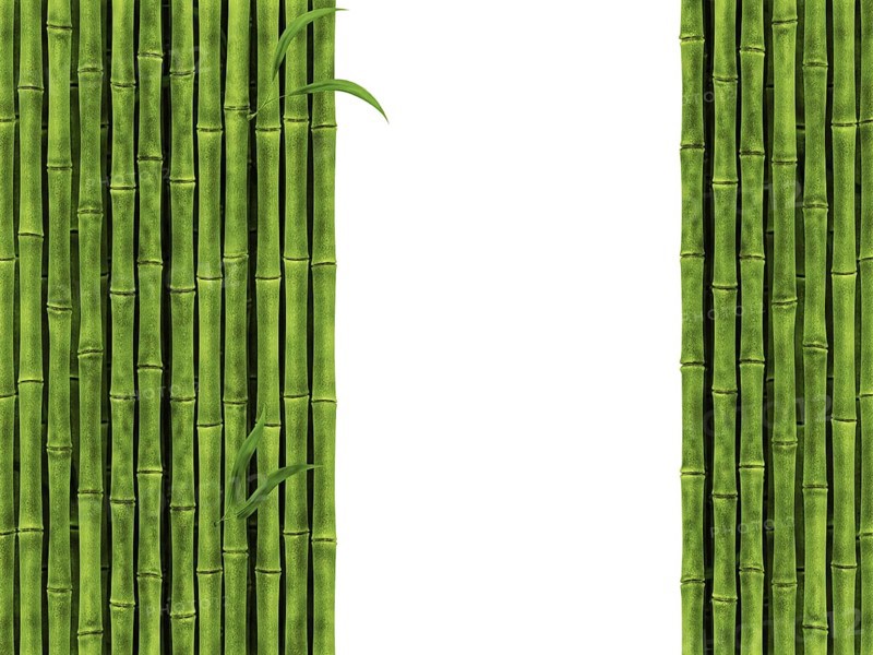 Bamboo Over The White Background