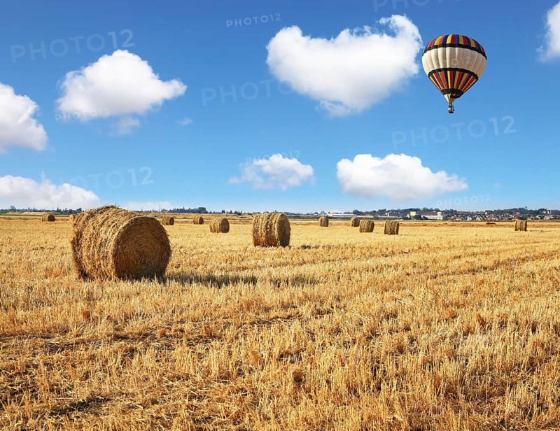 Red and blue balloon slowly floating over kibbutz field. Stacks of harvested wheat beautifully and symmetrically stand in rows