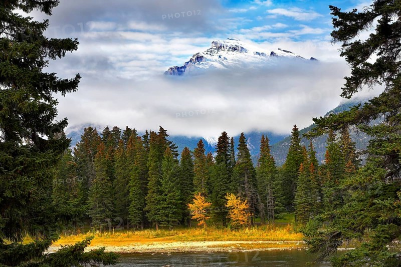 Northern wood and the river on a background snowed up mountain in clouds. More magnificent pictures from the American and Canadian National parks you can look hundreds in my portfolio. Welcome!