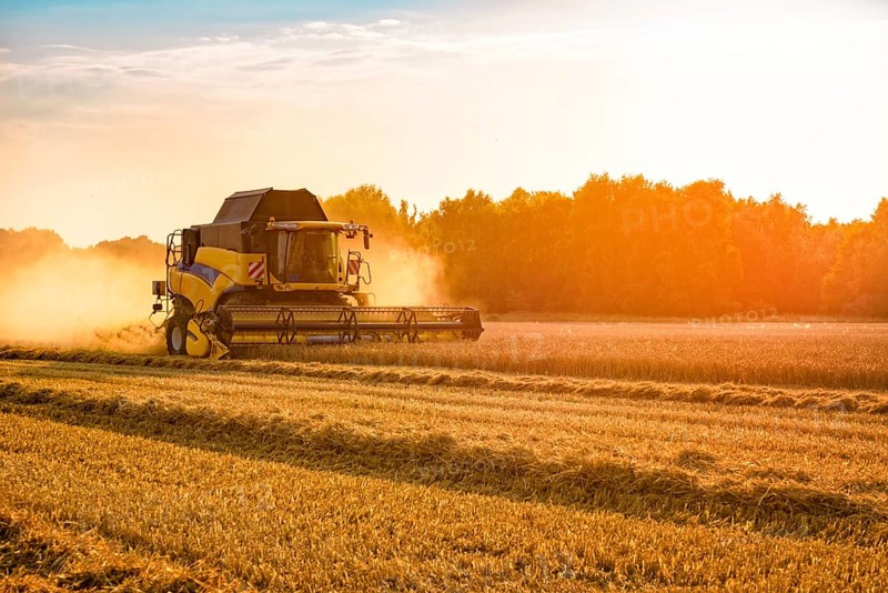 Big combine harvester threshing in the sunset
