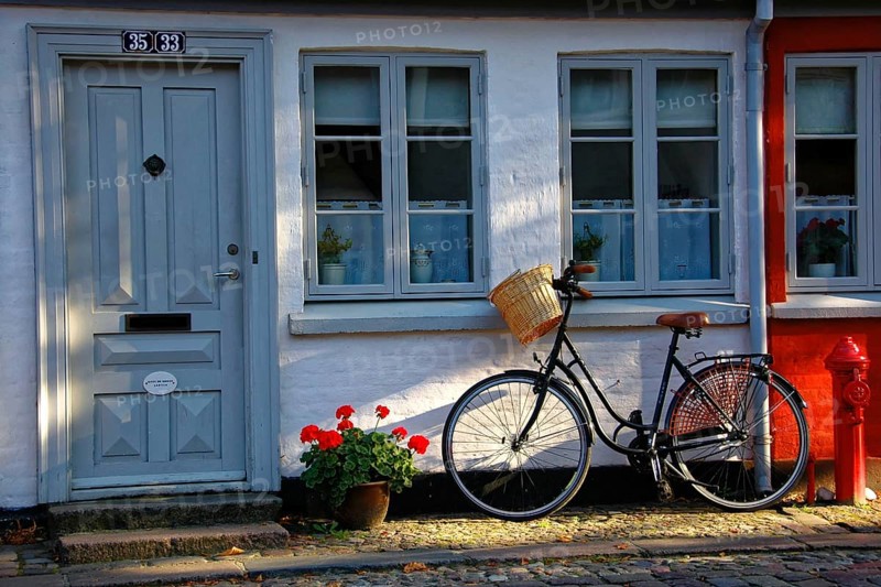 House entrance, Odense, Denmark, Europe, Black bicycle rests against an old house with floral decorations on windows