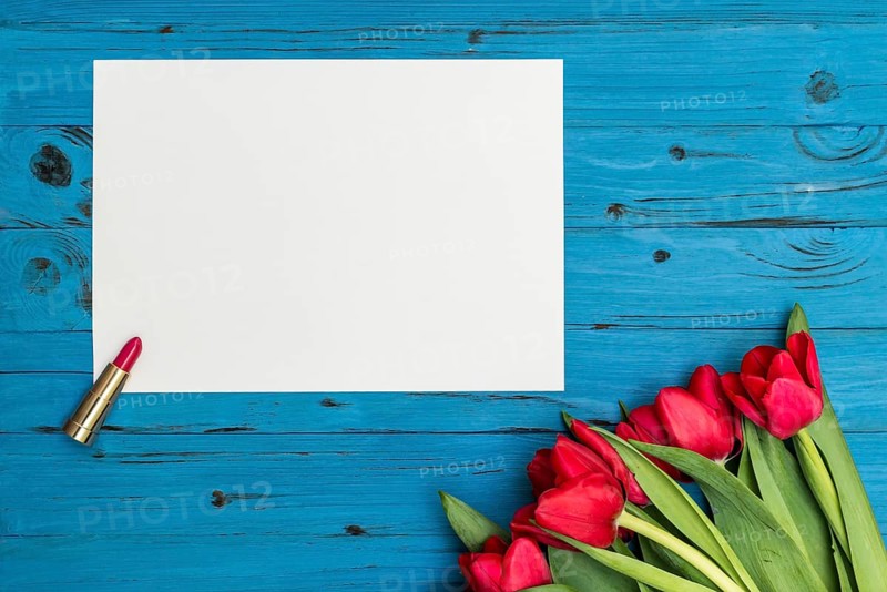 Red tulips, lipstick and a white sheet of paper for your greetings on the background of blue wooden board