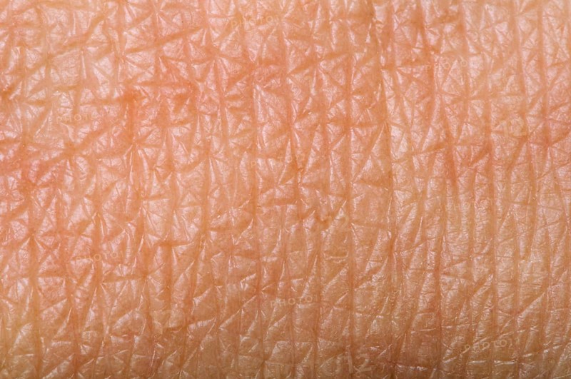 Human skin close up. Structure of Skin