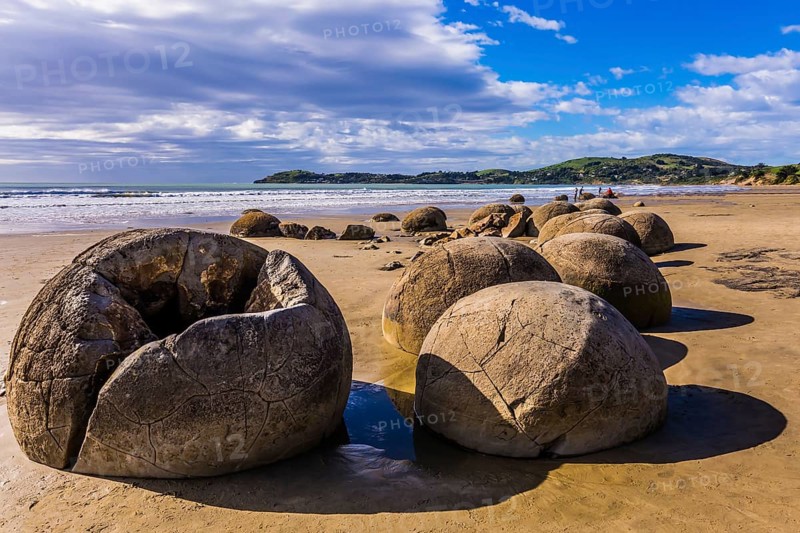 Travel to New Zealand. Boulders Moeraki - a group of large spherical boulders on the beach Koekokhe. The concept of active, eco and photo - tourism