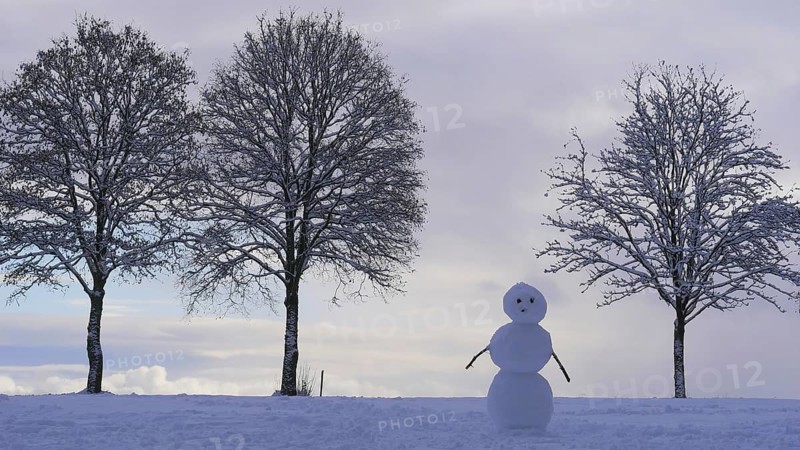 Snowman with trees