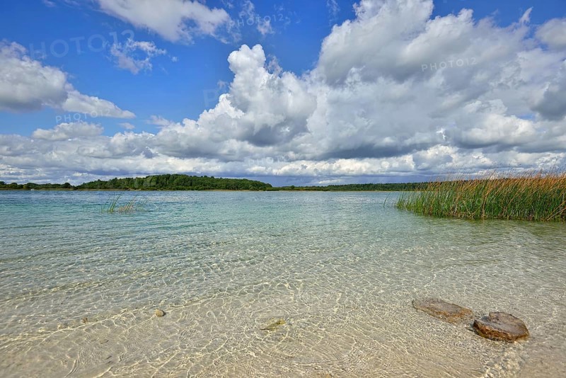Landscape with a lake with transparent clay bottom near St. Petersburg. Sunny summer day