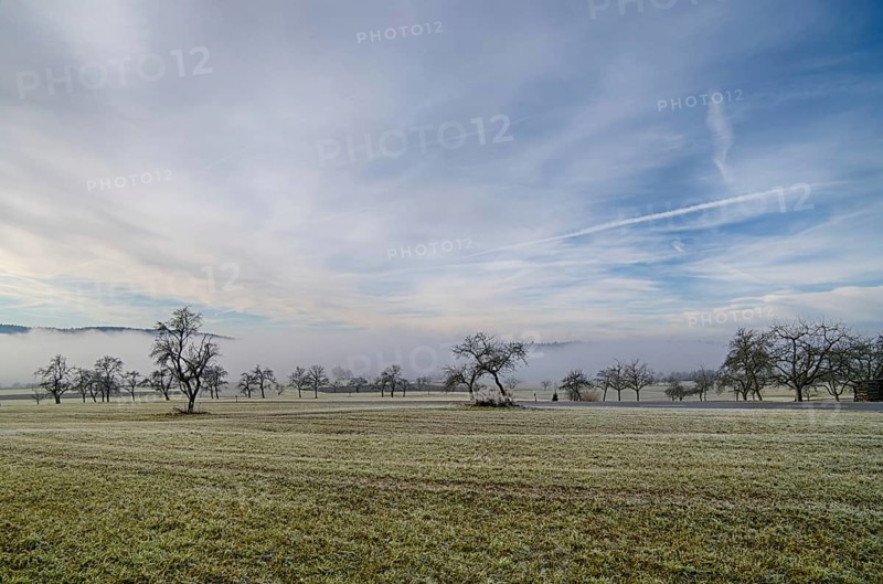Landscape in the Black Forest with wafts of mist
