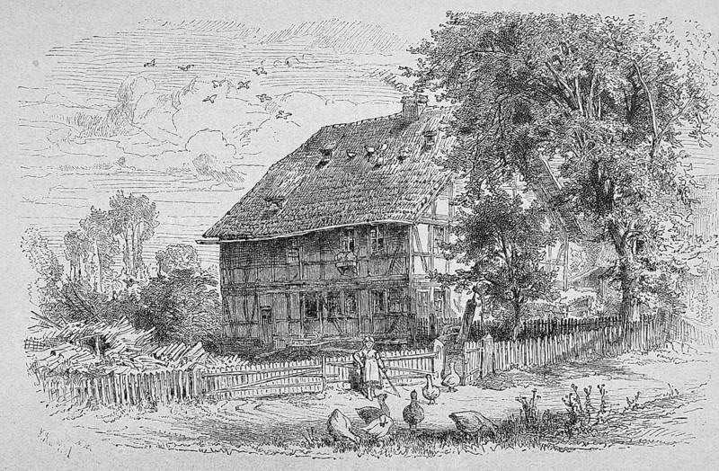 Illustration, agriculture, cultivation, outdoor, farmer, farm, biology, depiction, garden gardening, gardening, historical, illustration, farmyard, copper engraving, art, farming, farmer, farm, outdoor, steel engraving, engraving, environment, drawing, drawn, farmhouse, plant, plants, natural habitat, rural
