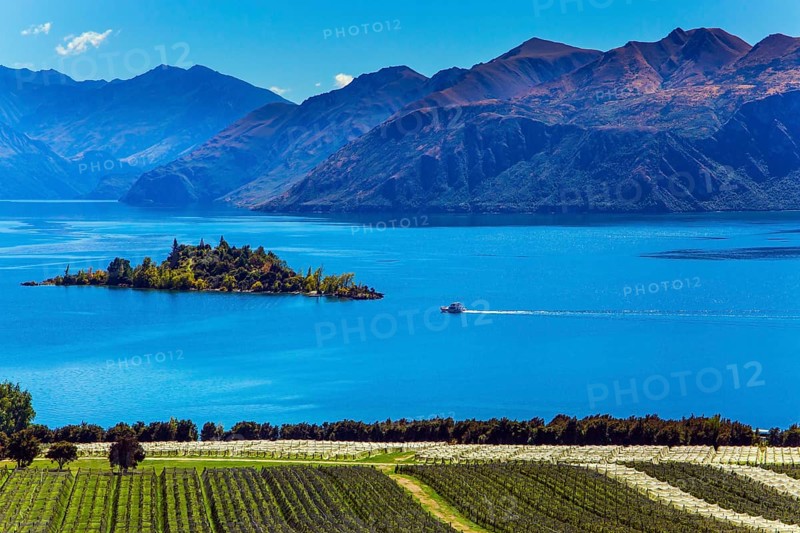 Adorable little island in the Lake Wanaka. Greeting postcard. Picturesque vineyard descends down to the water. New Zealand, South Island. The concept of ecological and photo tourism