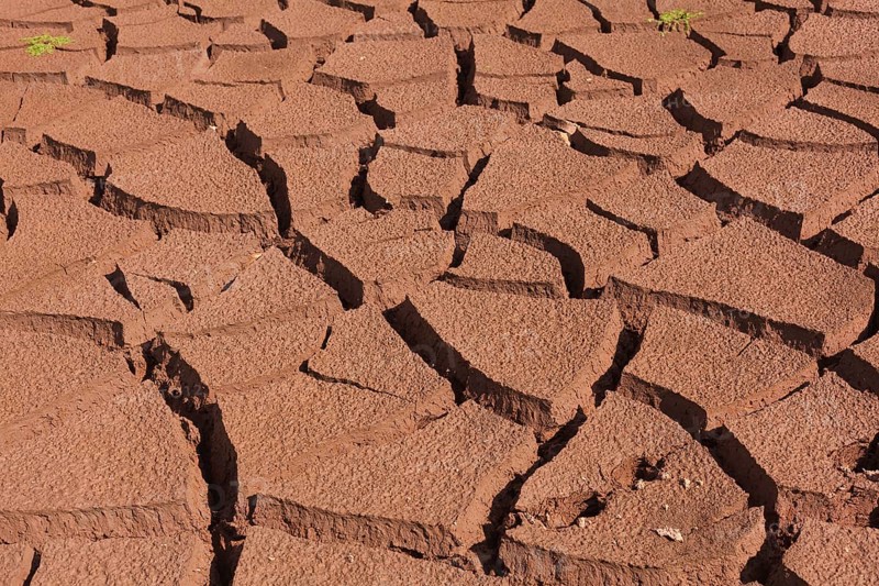 Drought, Lake of the canards, Lakes of Neila, Burgos, Castilla y Leon, Spain