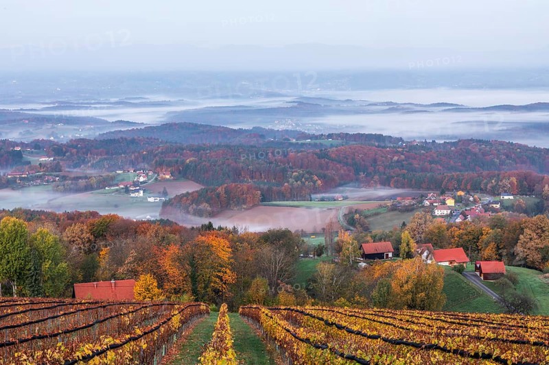 Autumn atmosphere in the early morning, vineyard, fog drifts through the hilly landscape in the valley, St. Andrä-Höch, Sausal wine country, Styria, Austria