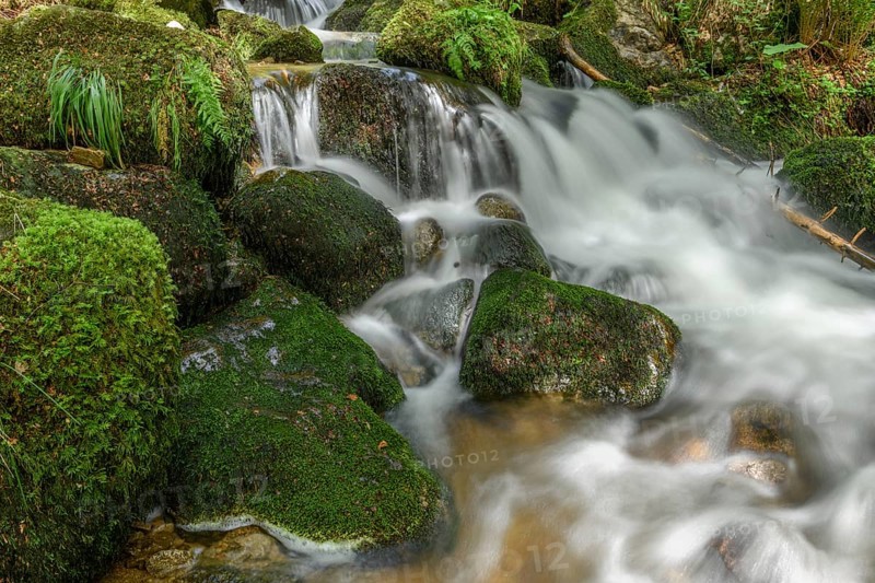 Mountain torrent in the Vosges. Charlemagne waterfall on the Vologne