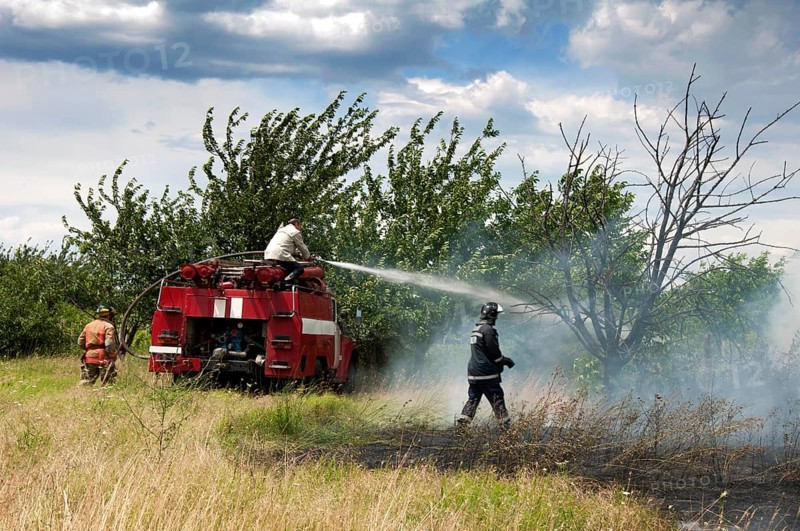 Firefighters extinguish a fire. Trees and grass