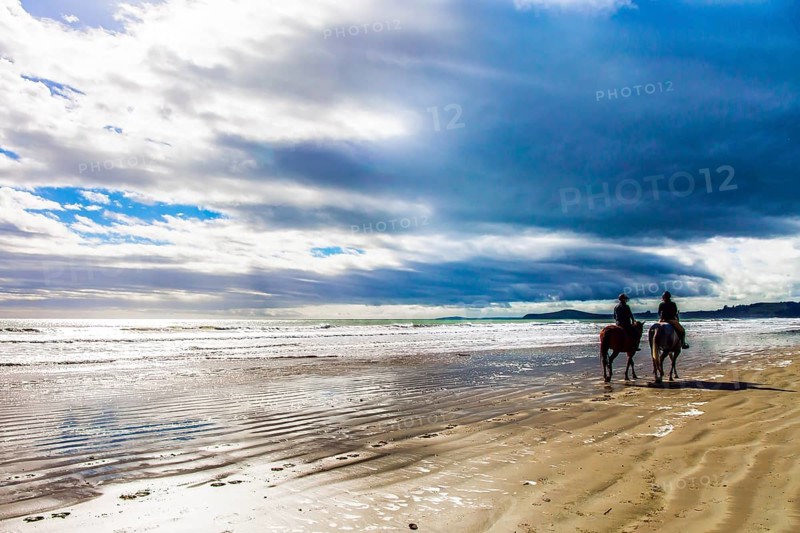 KOEKOKHE BEACH, SOUTH ISLAND, NEW ZEALAND - MARCH 15, 2018: The huge round stone boulders Moeraki. Pair of horsemen riding along the edge of the surf. The concept of ecological tourism