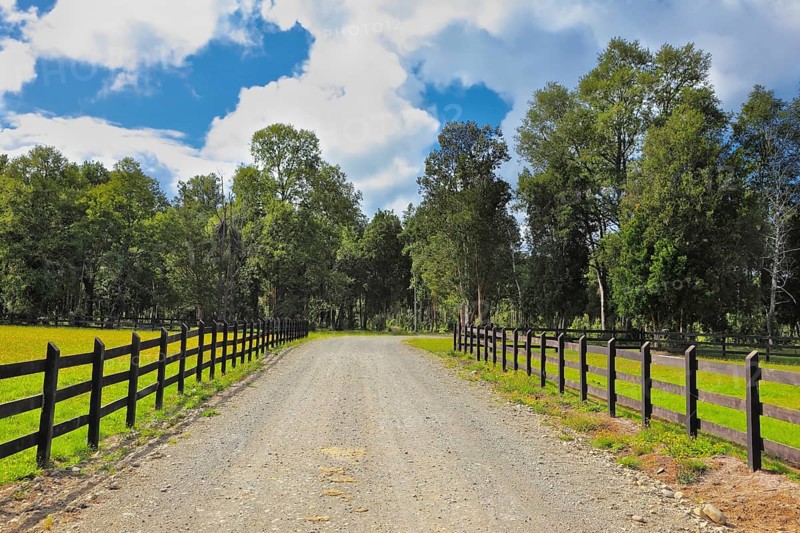 Farm for breeding horses. Gravel road between the walled green lawns