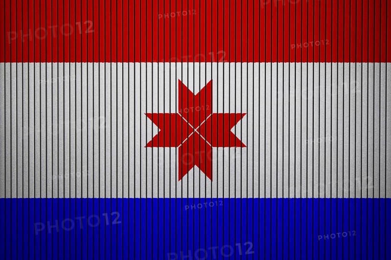Mordovia Flag painted on the cracked grunge concrete wall