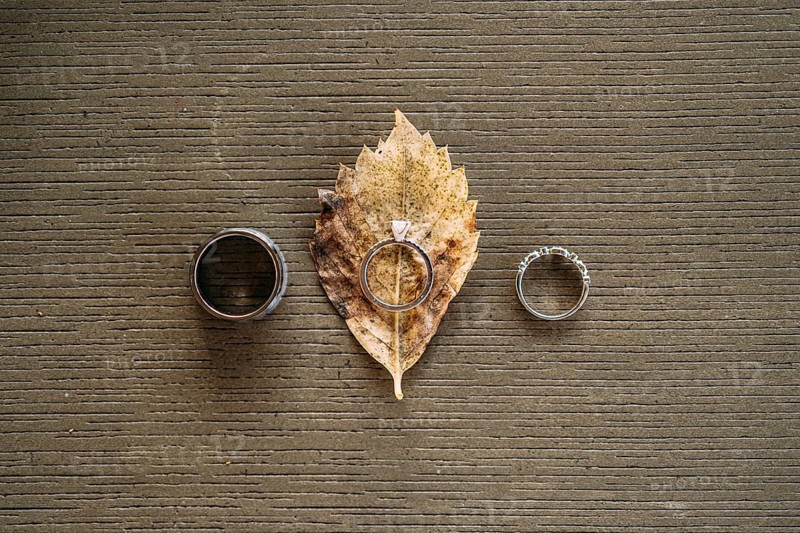 Wedding rings and bride's engagement ring on gray texture with yellow leaf of wood.