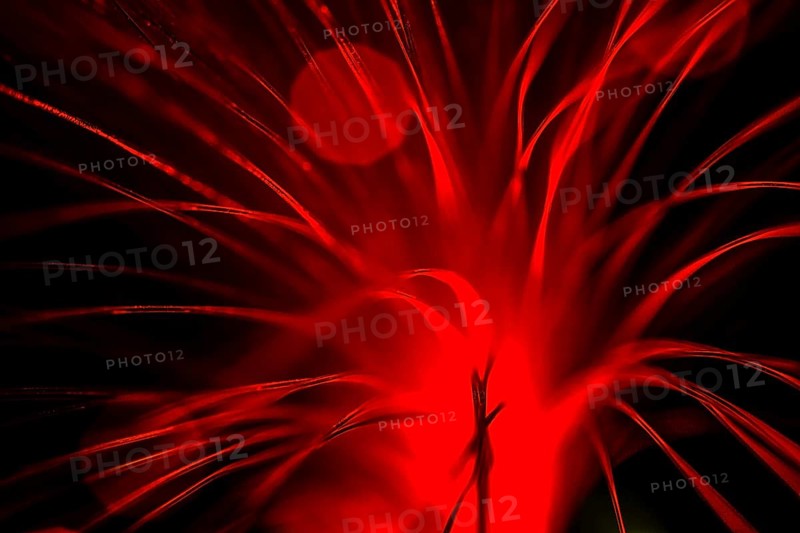 Fibre Optic Abstract