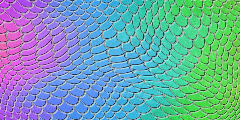 Colorful mermaid scales, fish scale, Fantasy texture