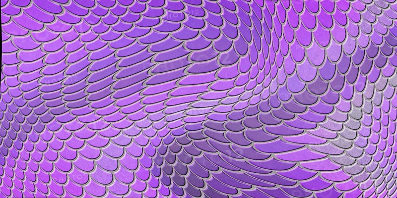 Violet mermaid scales, fish scale, Fantasy texture