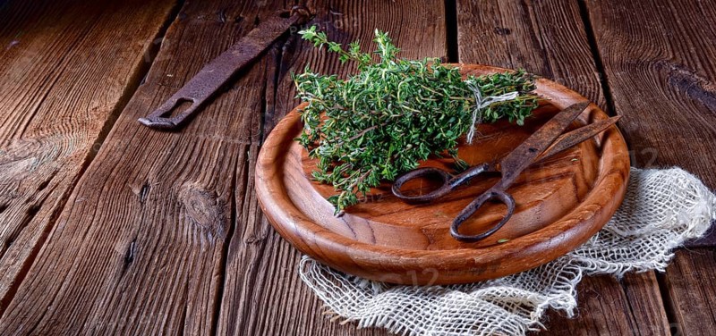 Thyme (Thymus vulgaris)