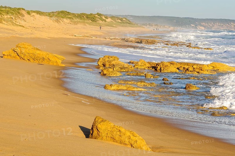St Andrews Beach in autumn sunshine at low tide, Rye, Victoria, Australia