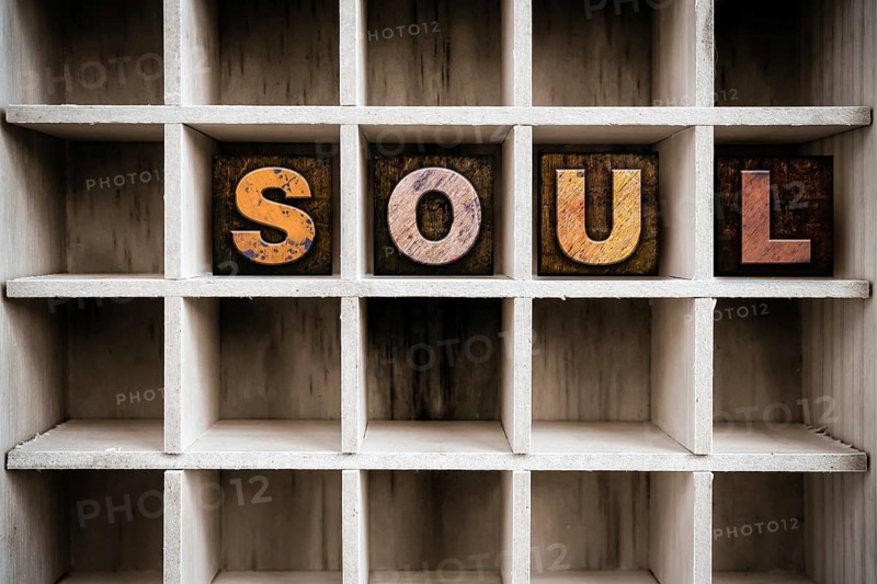 The word SOUL written in vintage ink stained wooden letterpress type in a partitioned printer's drawer