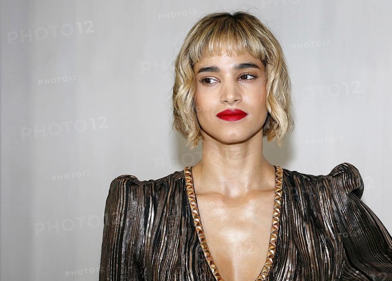 Sofia Boutella at the Hammer Museum Gala In The Garden held at the Hammer Museum in Westwood, USA on October 14, 2017