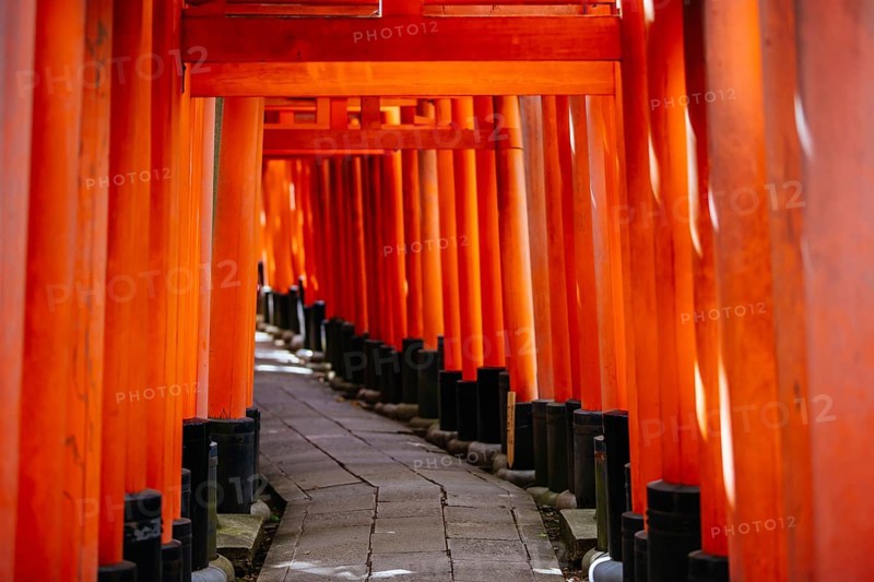 Kyoto, Japan - May 15 2019: Red Tori Gate at Fushimi Inari Shrine in Kyoto, Japan. One of the largest tourist attractions in Japan