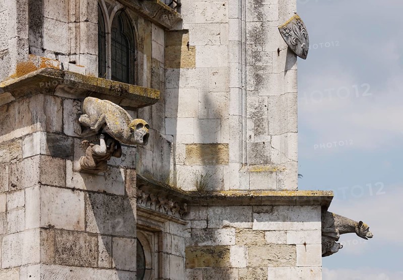 Choir from south-east, detail of gargoyle and coat of arms, St., Sankt, Saint