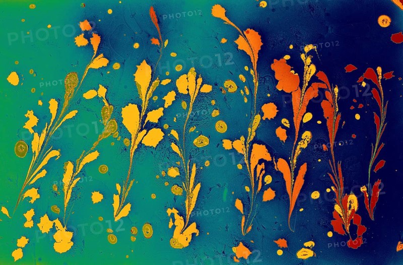 Beautiful abstract art of Ebru marbling painting techniques on water with acrylic paints