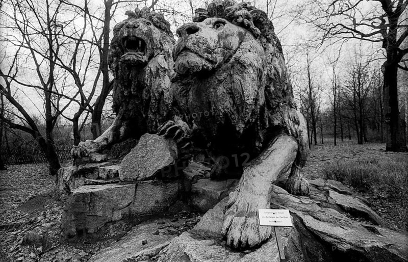 Germany, Berlin, 03.01.1991, Tierpark Friedrichsfelde, lions, used to stand in front of the city palace