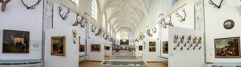 Panoramic photo of the interior of the German Hunting and Fishing Museum, Munich, Upper Bavaria, Bavaria, Germany
