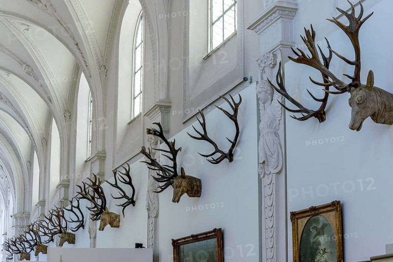 Hunting trophies on the wall in the German Hunting and Fishing Museum, Munich, Upper Bavaria, Bavaria, Germany