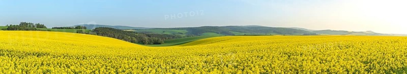Panorama with the agricultural hills from Moravia, near the village Korycany in the Czech Republic
