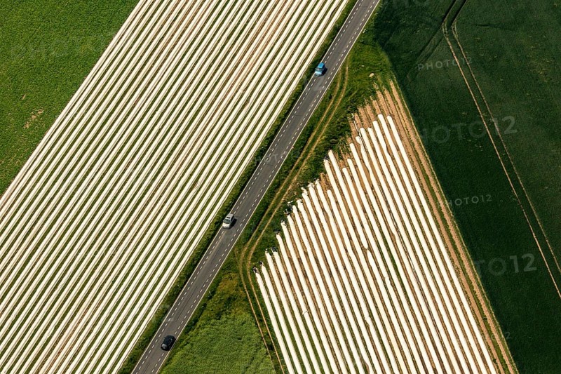 Spagel fields on the Lower Rhine
