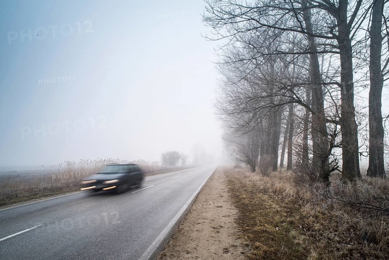 Car on a road in fog. Morning in fog