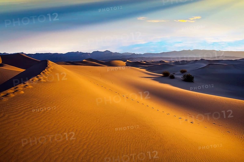 Mesquite Flat Sand Dunes - dunes in Death Valley. The morning. The sand lies in light waves. Human footprints visible along the crest of the dune. The concept of extreme and photo tourism