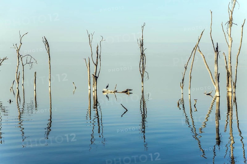 Sunrise on Lake Nakuru. Safari - tour to the famous reserve Lake Nakuru National Park, Kenya. The concept of exotic, ecological and phototourism