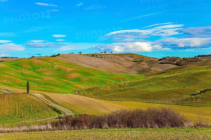 Travel to Tuscany. Sunny day at the beginning of winter. The famous picturesque and harmonious hills of the Val d'Orcia. Italy