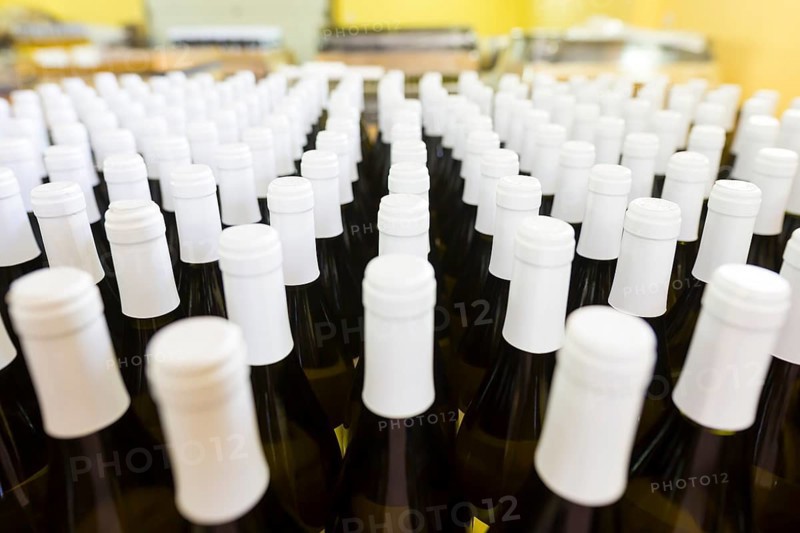 White wine bottles in a winery ordered for labeling before packed and shipped for sale