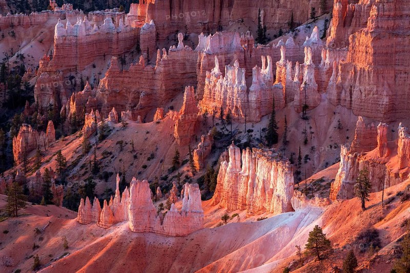 Scenic view of Bryce Canyon Southern Utah USA
