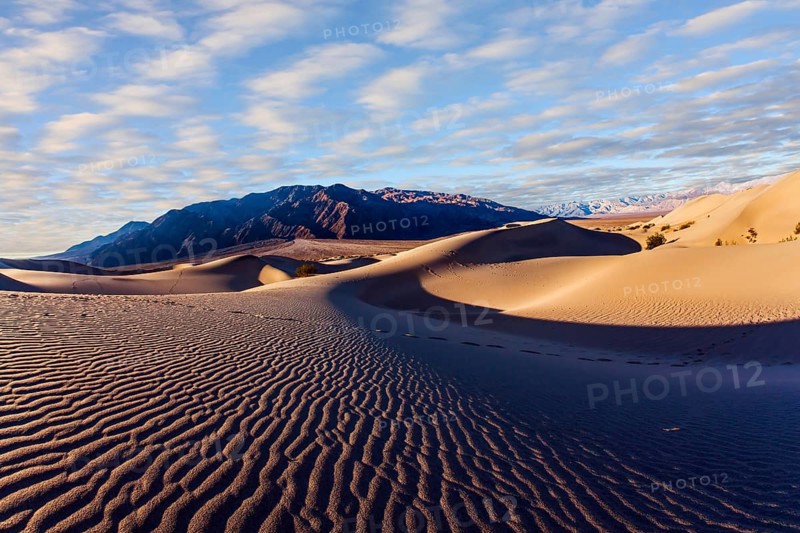 Light sand waves from the desert wind. Magic play of light on the sand. Mesquite Flat Sand Dunes is part of Death Valley in California. USA. The concept of ecological and photo tourism