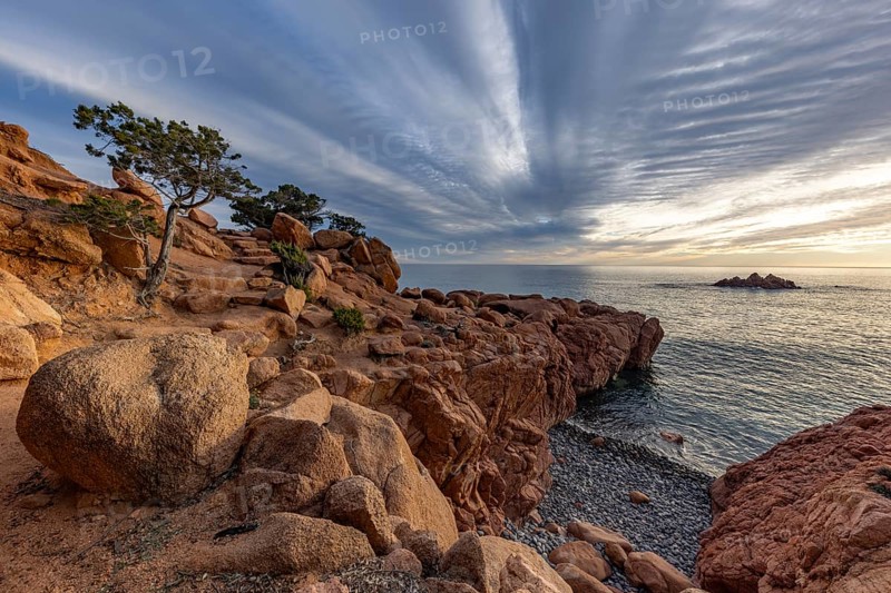 Coastal landscape with bizarre, red rocks and weathered, gnarled trees at sunset over the sea, Spiaggia di Cala E'Luas, Ogliastra, Sardinia, Italy