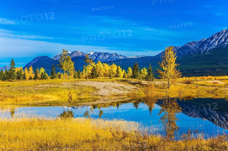 Exquisite Abraham Reservoir Lake with turquoise water. Warm September in the mountains of Canada. On coast of the lake autumn multi-color woods. Concept of ecological and active tourism